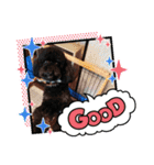 cocoのプーさん友達編①（個別スタンプ：1）