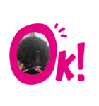 cocoのプーさん友達編①（個別スタンプ：7）