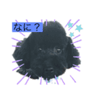 cocoのプーさん友達編①（個別スタンプ：12）