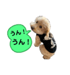 テディ日記 3（個別スタンプ：12）