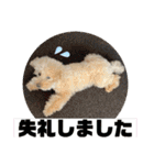テディ日記 3（個別スタンプ：19）