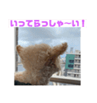 テディ日記 3（個別スタンプ：20）