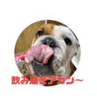 大好き金太郎2（個別スタンプ：1）
