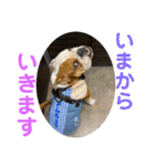 大好き金太郎2（個別スタンプ：9）