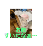 大好き金太郎2（個別スタンプ：10）