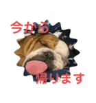 大好き金太郎2（個別スタンプ：13）