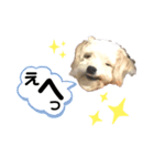 まる！ハッピー！（個別スタンプ：4）