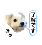 まる！ハッピー！（個別スタンプ：5）