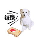 まる！ハッピー！（個別スタンプ：6）