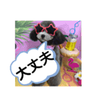 たけしのスタンプ 挨拶2（個別スタンプ：2）