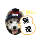 たけしのスタンプ 挨拶2（個別スタンプ：3）