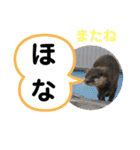 たけしのスタンプ 挨拶2（個別スタンプ：5）