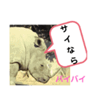 たけしのスタンプ 挨拶2（個別スタンプ：8）