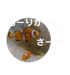 たけしのスタンプ 挨拶2（個別スタンプ：11）