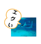 たけしのスタンプ 挨拶2（個別スタンプ：16）