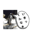 たけしのスタンプ 挨拶2（個別スタンプ：21）