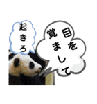 たけしのスタンプ 挨拶2（個別スタンプ：22）
