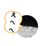たけしのスタンプ 挨拶2（個別スタンプ：23）