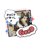 らりちゃん・博多弁（個別スタンプ：5）