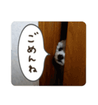 I C H I I C H I（個別スタンプ：15）