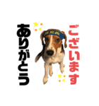 ギルとハンク（個別スタンプ：1）