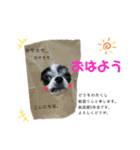 ♡rinchan♡stamp（個別スタンプ：1）