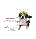 ♡rinchan♡stamp（個別スタンプ：2）