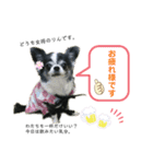 ♡rinchan♡stamp（個別スタンプ：3）