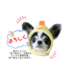 ♡rinchan♡stamp（個別スタンプ：6）