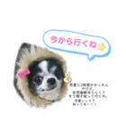 ♡rinchan♡stamp（個別スタンプ：7）
