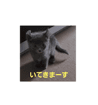 にゃーのきもち（個別スタンプ：7）