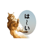 ほんのりおふざけあり、お返事猫スタンプ（個別スタンプ：2）