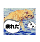 ほんのりおふざけあり、お返事猫スタンプ（個別スタンプ：7）