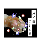 ほんのりおふざけあり、お返事猫スタンプ（個別スタンプ：13）