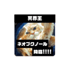 ほんのりおふざけあり、お返事猫スタンプ（個別スタンプ：15）