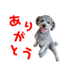 我が家の可愛い子達♡（個別スタンプ：3）