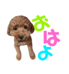 我が家の可愛い子達♡（個別スタンプ：7）