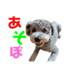 我が家の可愛い子達♡（個別スタンプ：12）