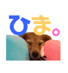 我が家の可愛い子達♡（個別スタンプ：18）