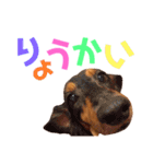 我が家の可愛い子達♡（個別スタンプ：20）