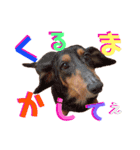 我が家の可愛い子達♡（個別スタンプ：22）