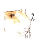 吉村家の猫ちゃん（個別スタンプ：13）