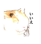 吉村家の猫ちゃん（個別スタンプ：14）