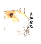 吉村家の猫ちゃん（個別スタンプ：18）