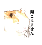 吉村家の猫ちゃん（個別スタンプ：22）