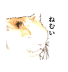 吉村家の猫ちゃん（個別スタンプ：23）
