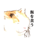 吉村家の猫ちゃん（個別スタンプ：24）