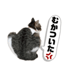 HEROちのニャンコ（個別スタンプ：7）