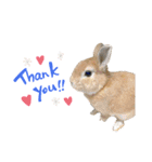 うちの長男こむぎくん♡（個別スタンプ：1）