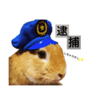 うちの長男こむぎくん♡（個別スタンプ：4）